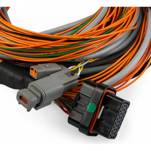 Ft Chicote Input Expander  Fueltech