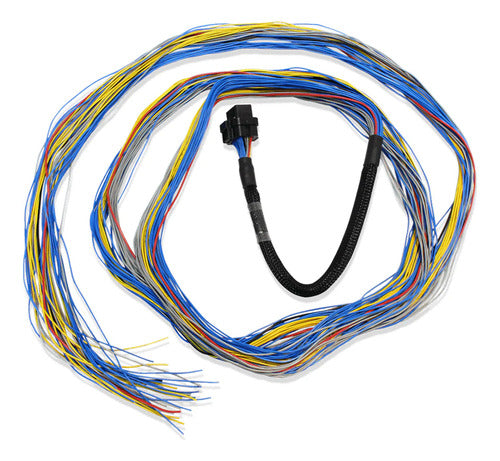 Chicote Ft600/ft700 6m  Fueltech