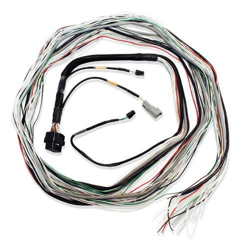 Chicote Ft600/ft700 6m  Fueltech