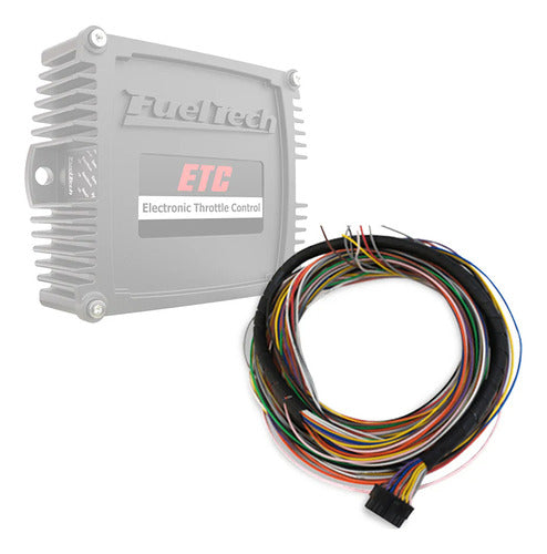 Chicote Etc  Fueltech