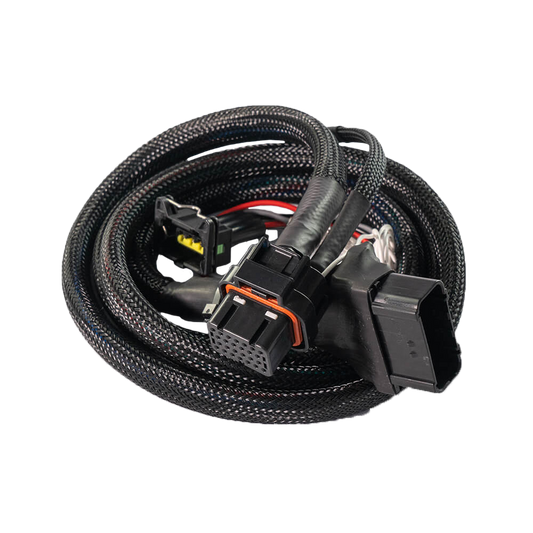 Chicote FuelTech FT450 PNP para motos Honda baixa cilindrada