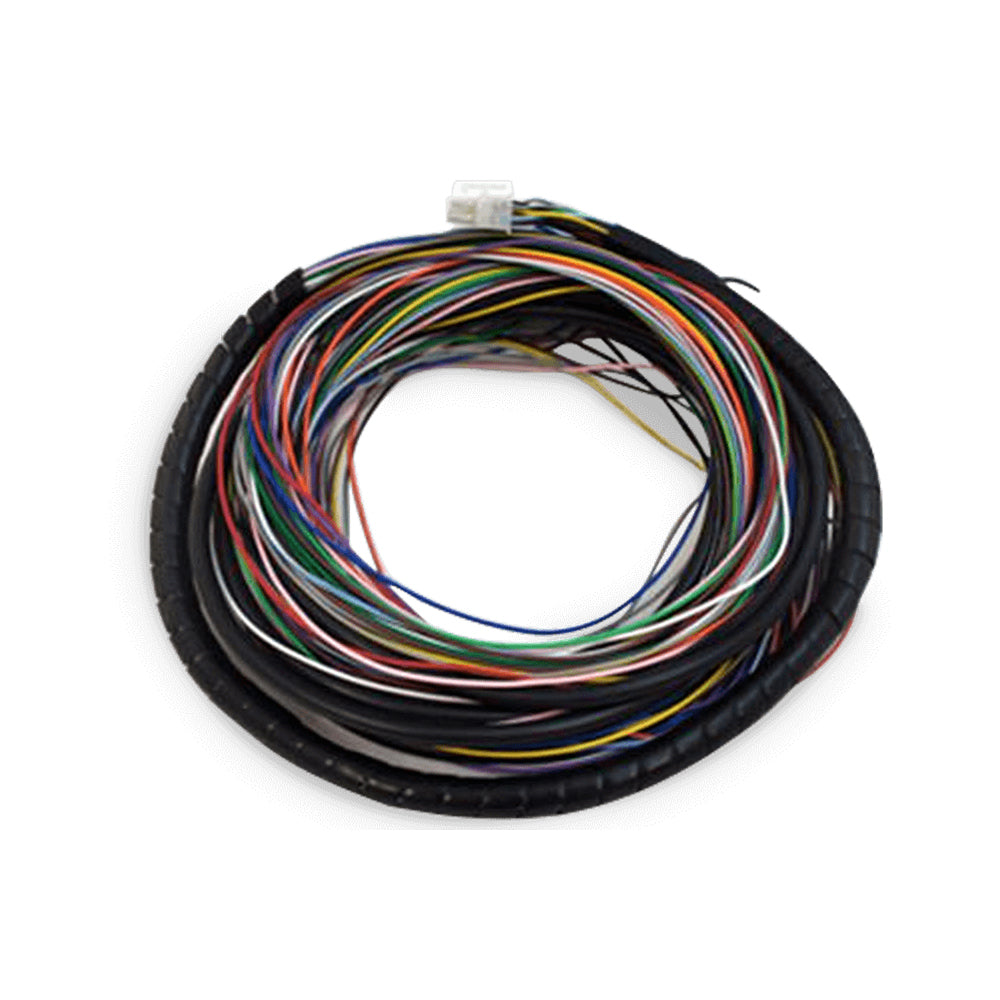 Chicote FuelTech RacePRO-1Fi - vista 2