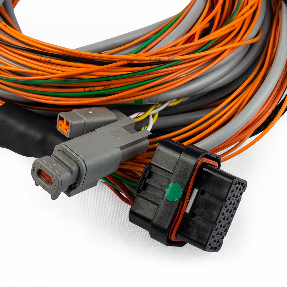 Chicote FuelTech Input Expander - vista 2