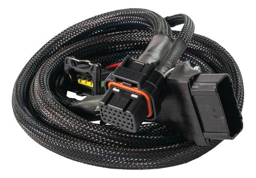 Chicote Plug And Play Para Motos Honda De Baixa Cilindrada