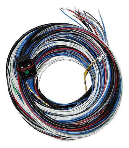 Chicote Para Fueltech Ft450 Ft550 Injeção Programável